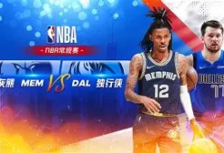 爱游戏网站 -孟菲斯灰熊和影照片