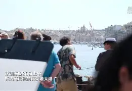 孟菲斯灰熊和影照片